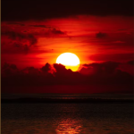 Earth Sangha Presents - Honouring the Fire Element