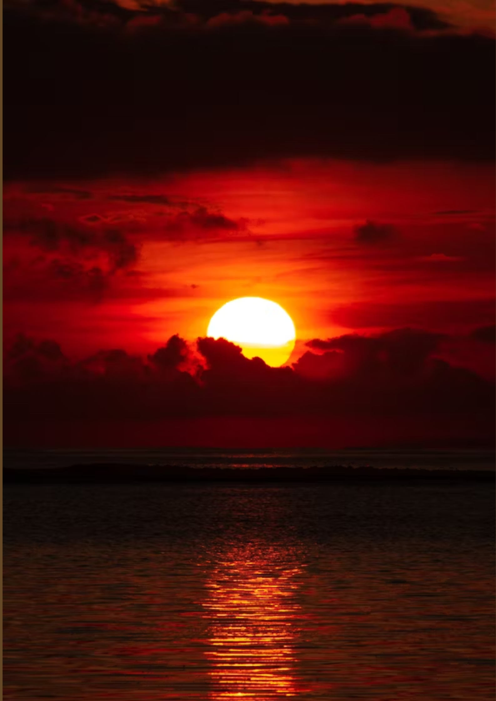 Earth Sangha Presents - Honouring the Fire Element